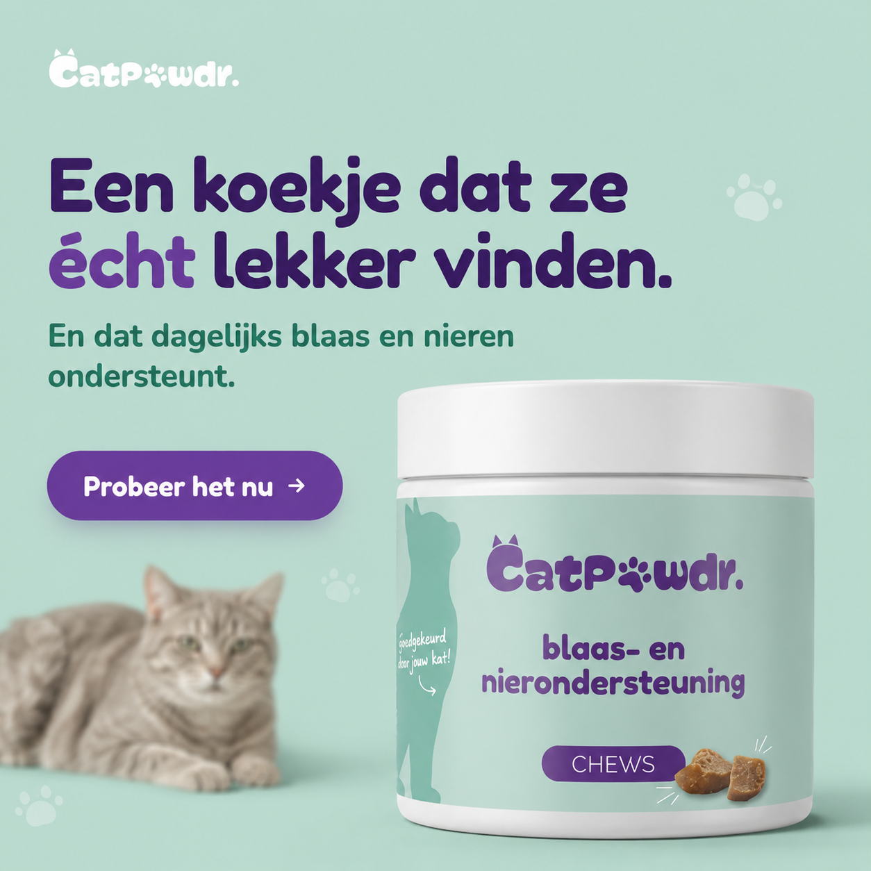 Blaas- & Nierondersteuning