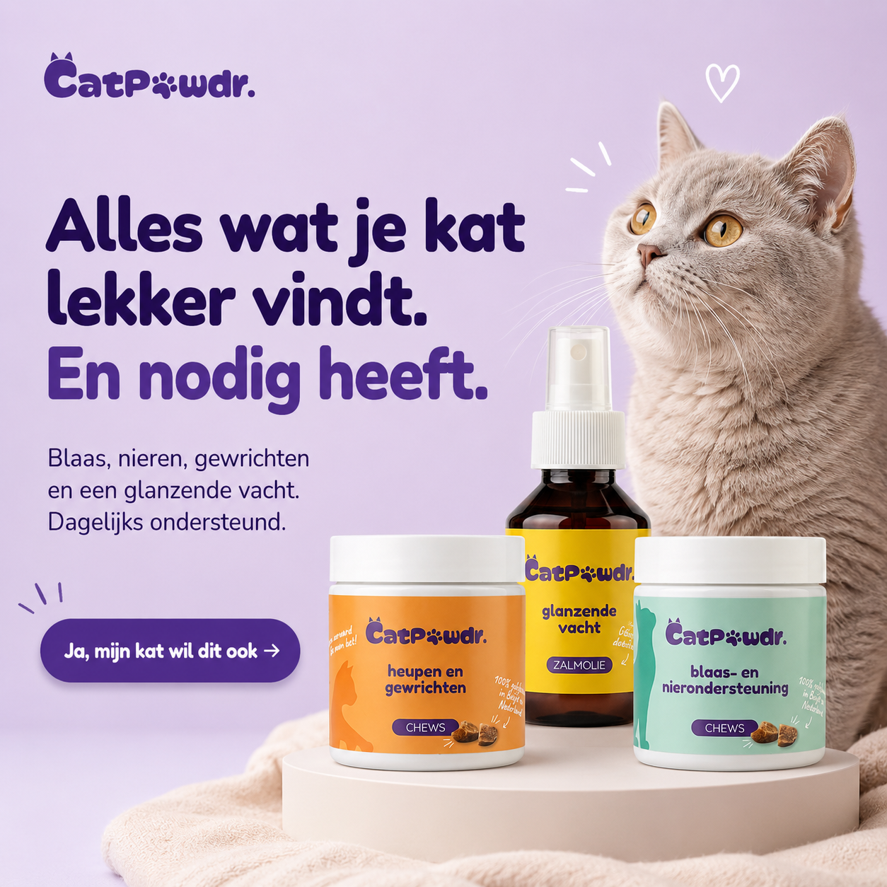 CatPawdr Supplementen Bundel